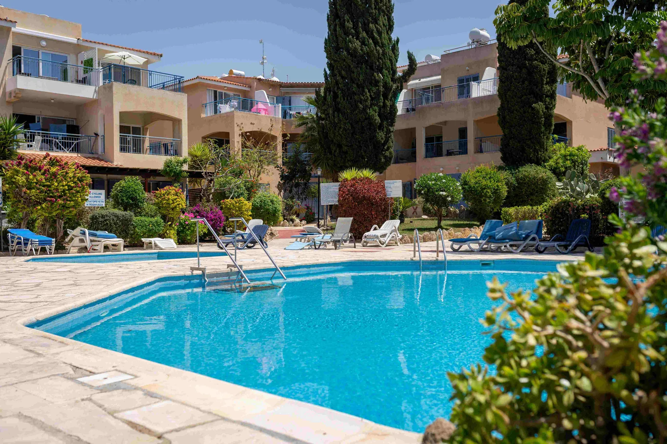 The shared pool at Paradise Gardens with sun loungers and palms