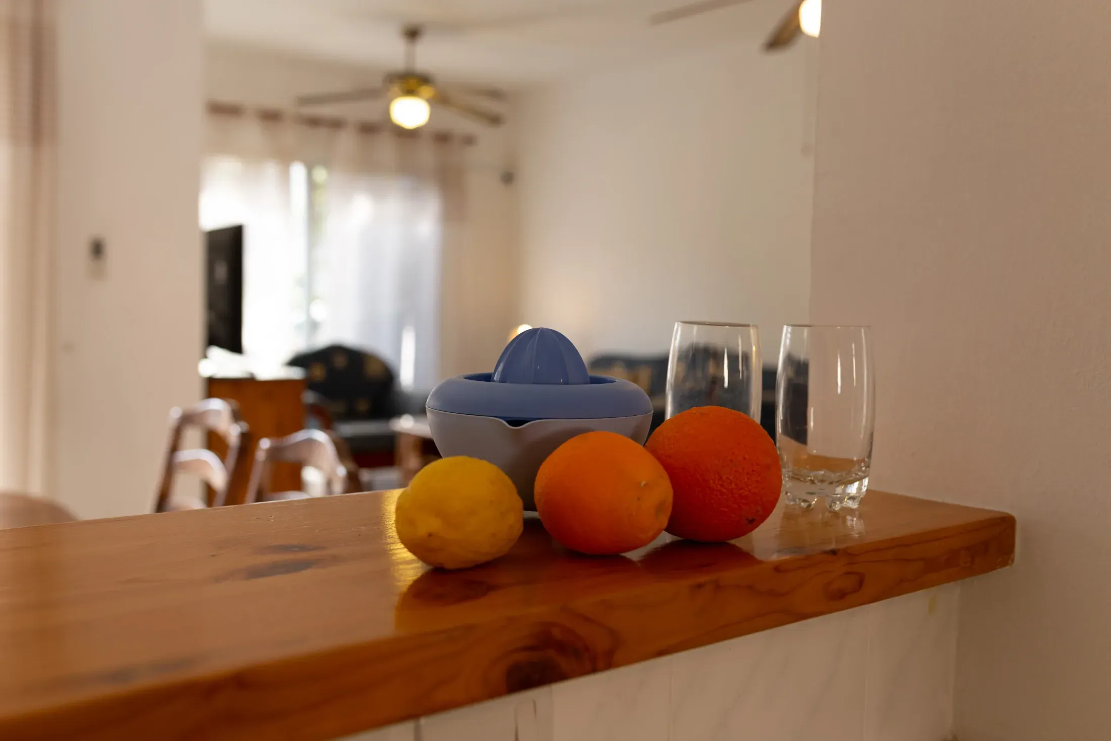 Oranges and a lemon from the garden on the kitchen counter