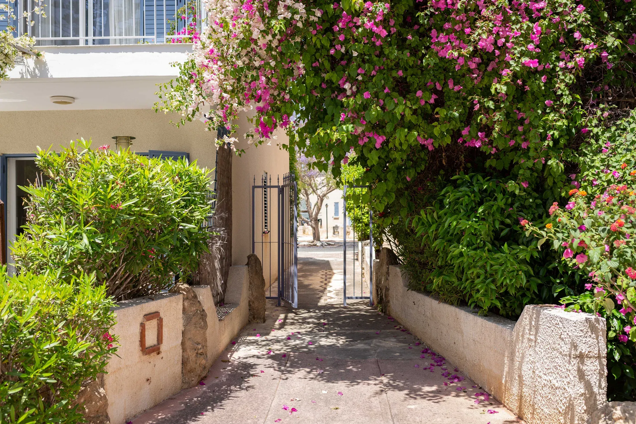 Garden path with bougainvillea leading to the pool at Paradise Gardens