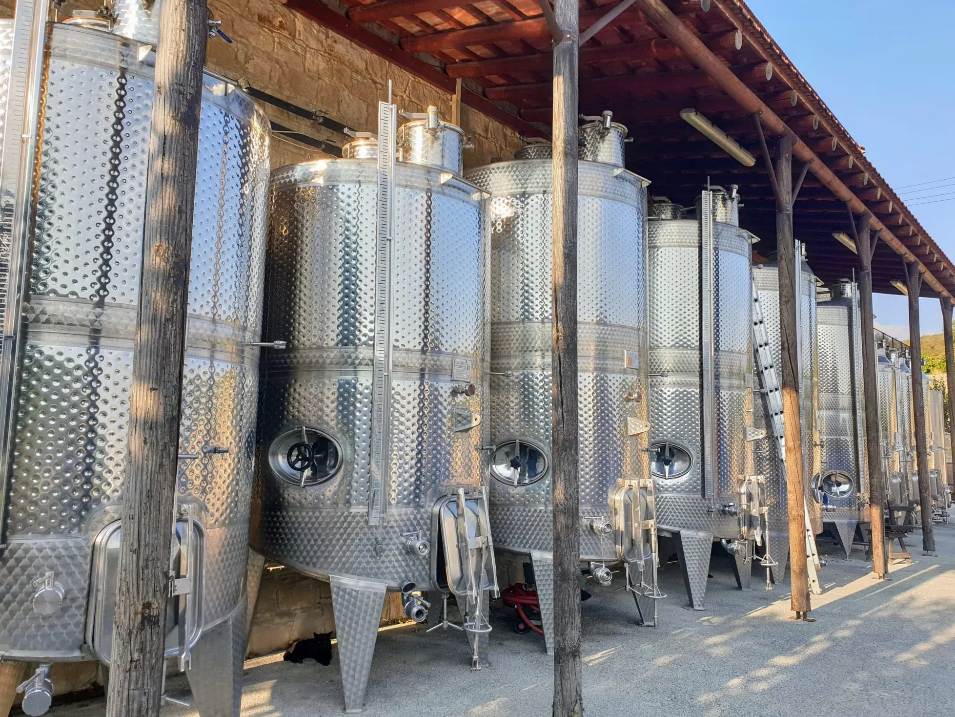 Local Cypriot wine and grape products on display in Omodos