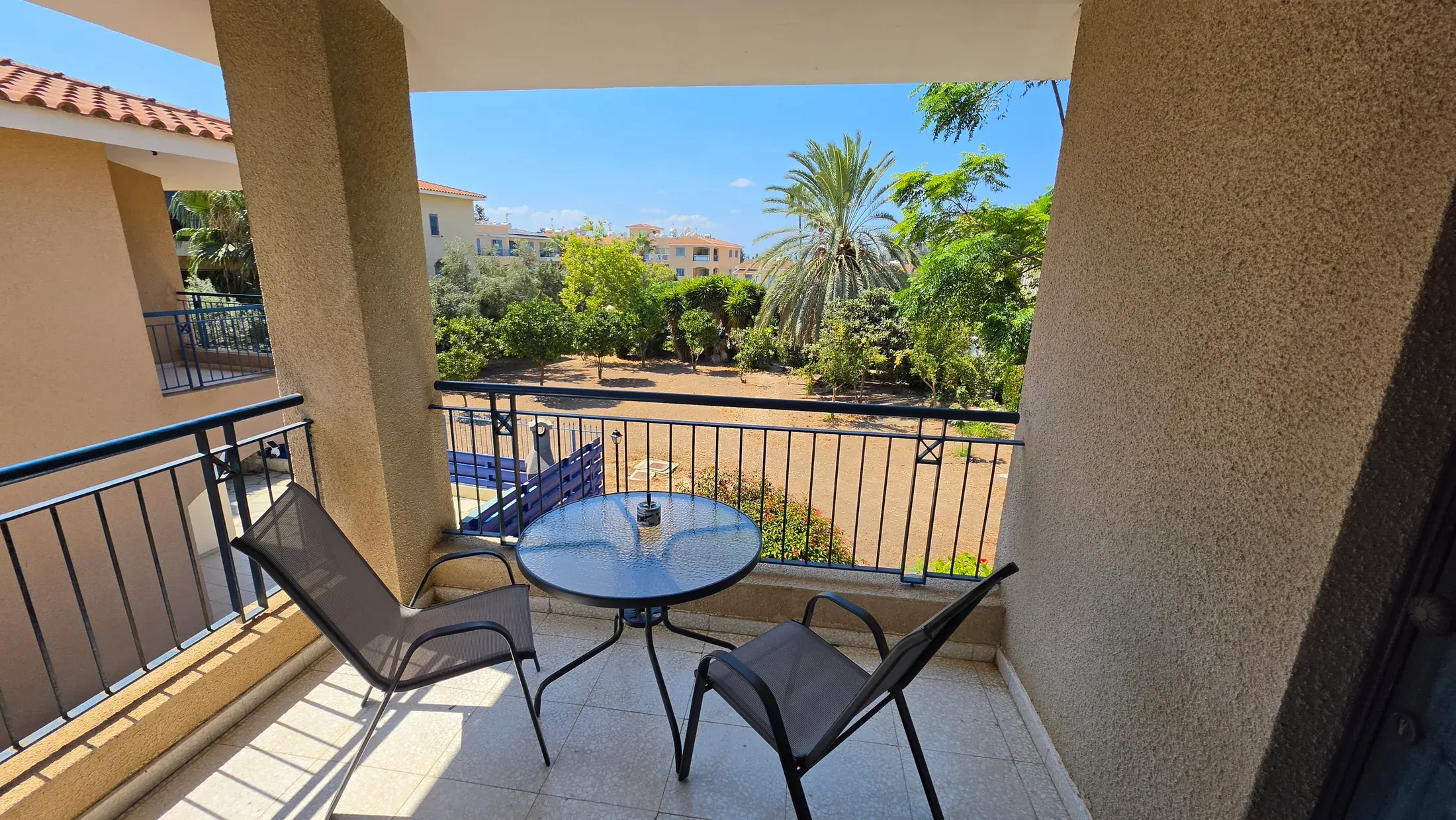 Looking out from the patio towards the palms and the green square