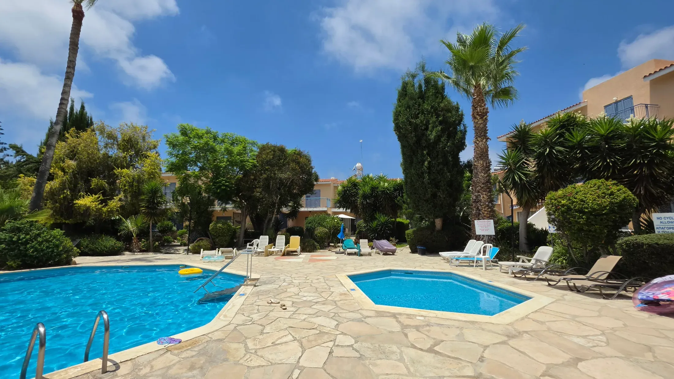 The shared swimming pool at Paradise Gardens, surrounded by palms and sun loungers
